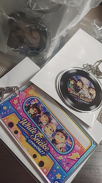 レビュー投稿の拡大画像