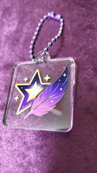 レビュー投稿の拡大画像