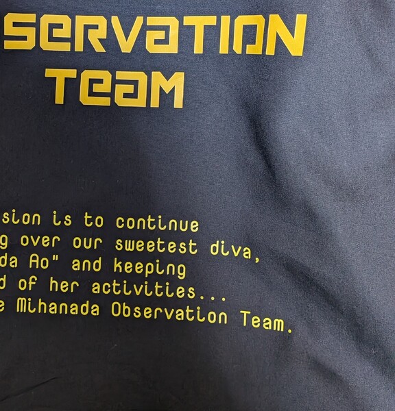 レビュー投稿の拡大画像