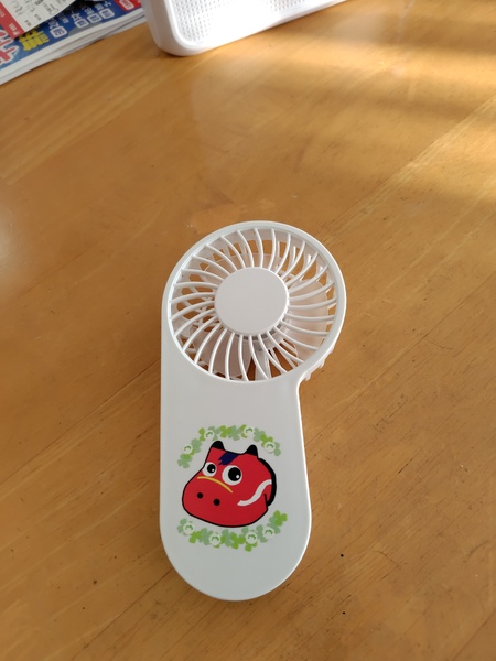 レビュー投稿の拡大画像