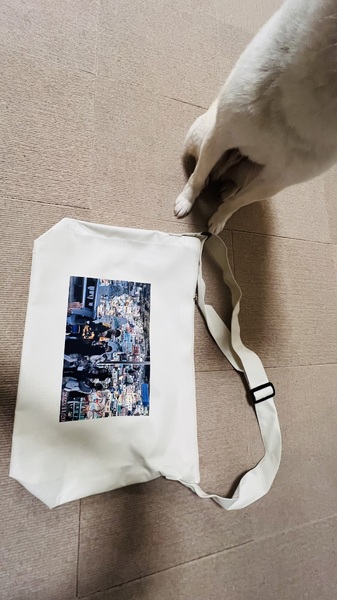 レビュー投稿の拡大画像