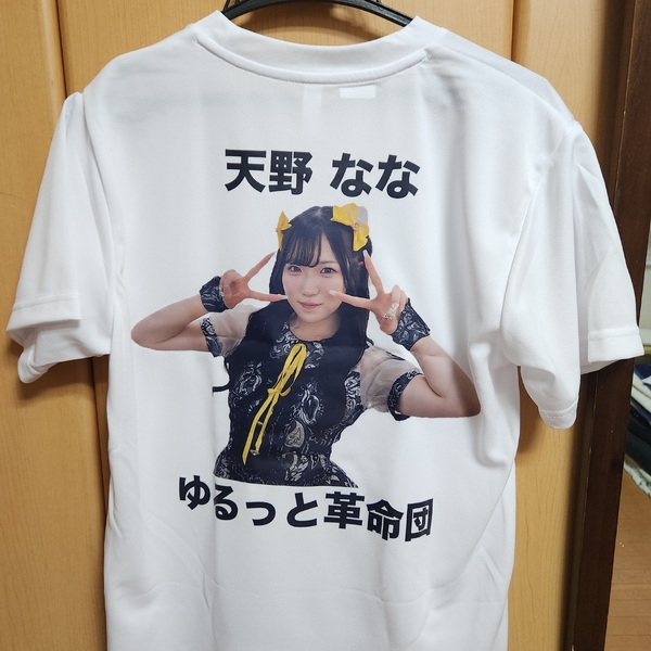 レビュー投稿の拡大画像