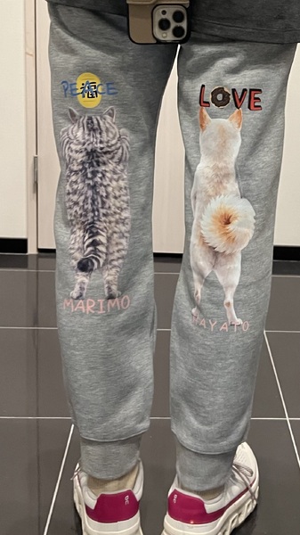 レビュー投稿の拡大画像