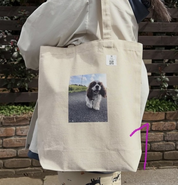 レビュー投稿の拡大画像