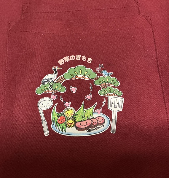 レビュー投稿の拡大画像