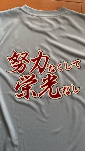 レビュー投稿の拡大画像