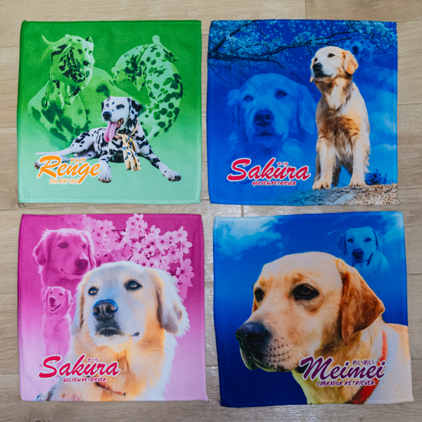 レビュー投稿の拡大画像