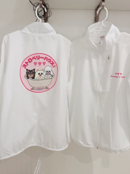 レビュー投稿の拡大画像