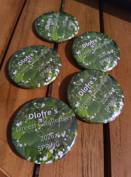 レビュー投稿の拡大画像