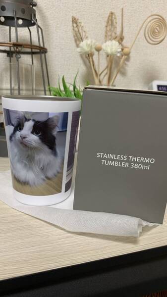 レビュー投稿の拡大画像