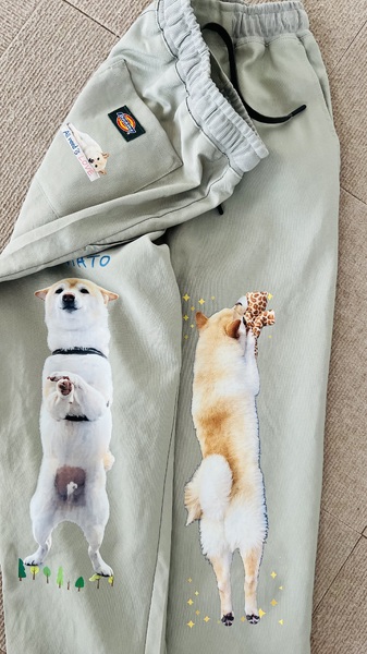 レビュー投稿の拡大画像