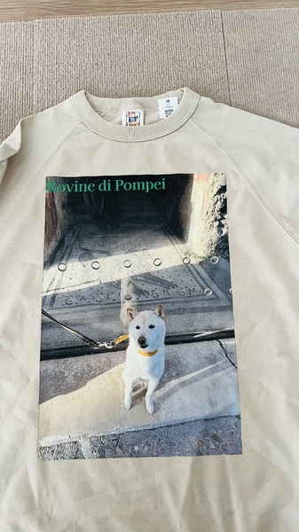 レビュー投稿の拡大画像