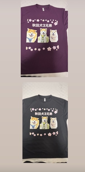 レビュー投稿の拡大画像