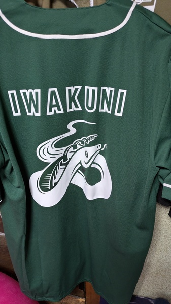 レビュー投稿の拡大画像