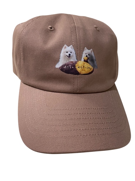 レビュー投稿の拡大画像