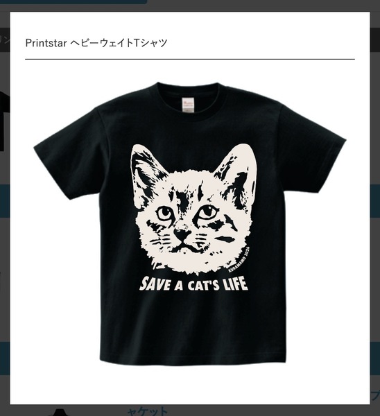 レビュー投稿の拡大画像