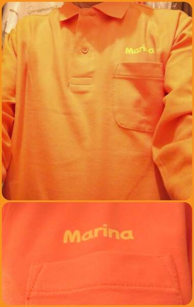 レビュー投稿の拡大画像