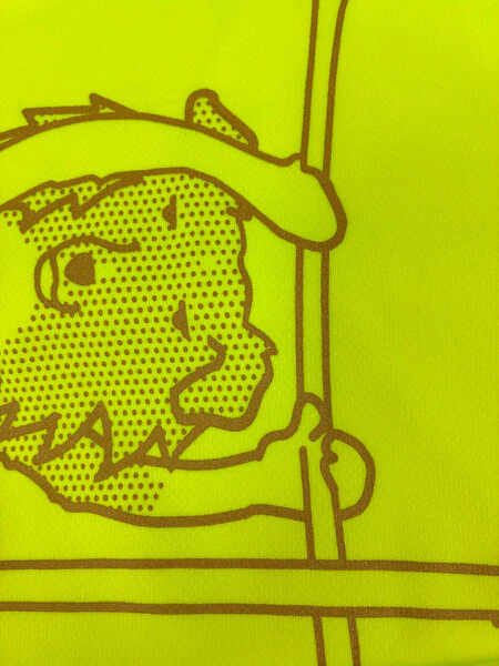 レビュー投稿の拡大画像