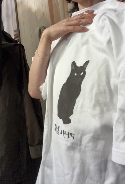 レビュー投稿の拡大画像