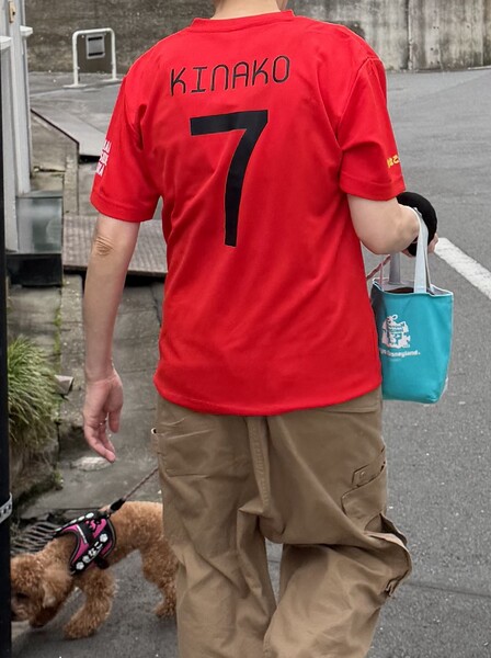 レビュー投稿の拡大画像