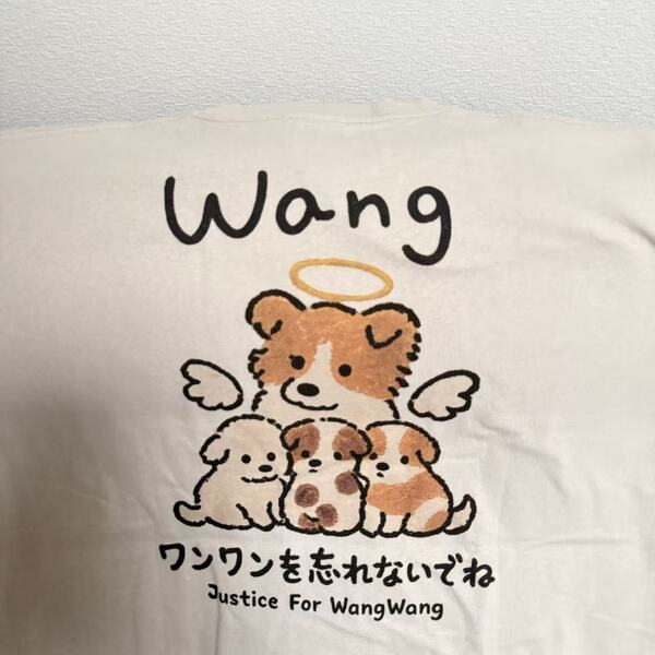レビュー投稿の拡大画像