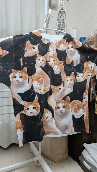 レビュー投稿の拡大画像