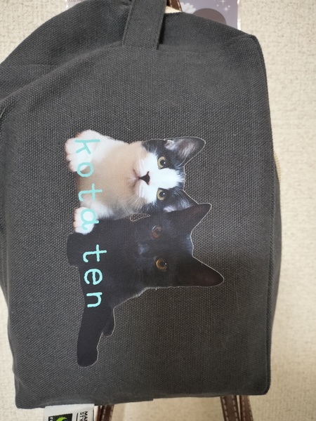 レビュー投稿の拡大画像