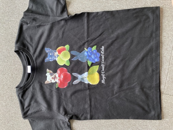 レビュー投稿の拡大画像