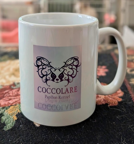 レビュー投稿の拡大画像