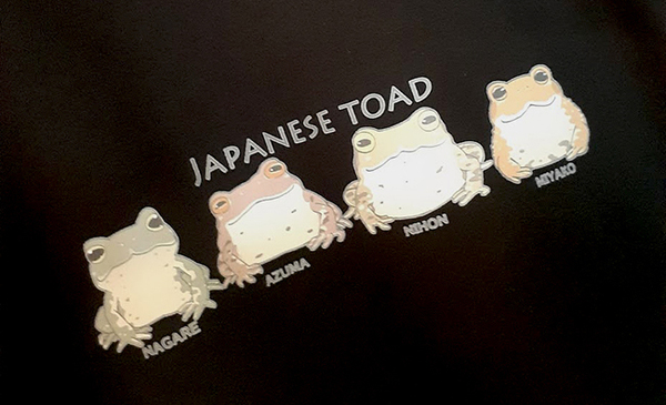 レビュー投稿の拡大画像