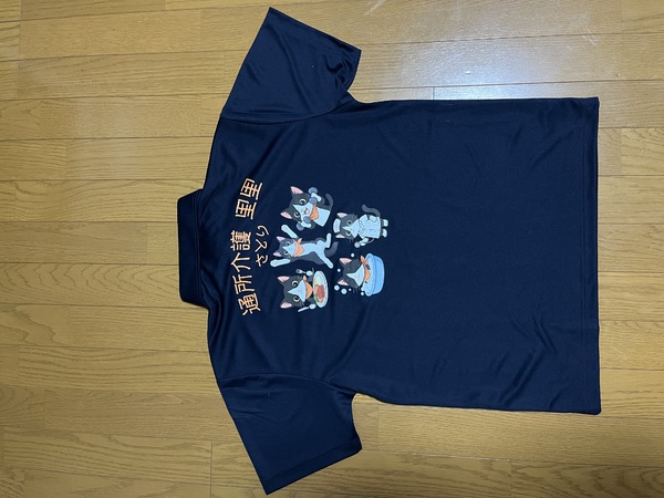 レビュー投稿の拡大画像