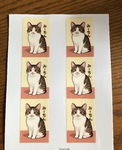 レビュー投稿画像