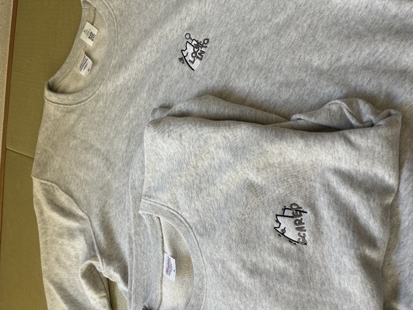 レビュー投稿の拡大画像