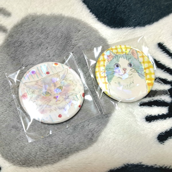 レビュー投稿の拡大画像