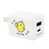 PD20Ｗコンセントチャージャー C＋A