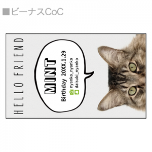 【無料テンプレート】名刺(横型)100枚セット ペット名刺×ふきだし