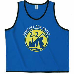 山のデザインロゴが映えるクラスTシャツビブスをオリジナルでプリント クラスTシャツのテンプレート