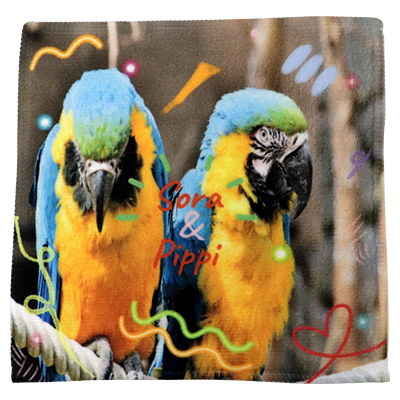 ソフトタッチ ミニタオルのレビュー 1ページ目 新着順 星3つ