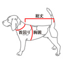 サイズ表の見方