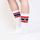 着用イメージ（靴下の側面に刺繍した場合）