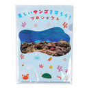 ご注文分をまとめてPP袋に入れてお届けします