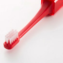 毛先に施されたナノミネラルコーティング技術により、水だけで磨けます