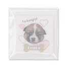 1点ずつ台紙入りのOPP袋に入れてお届け