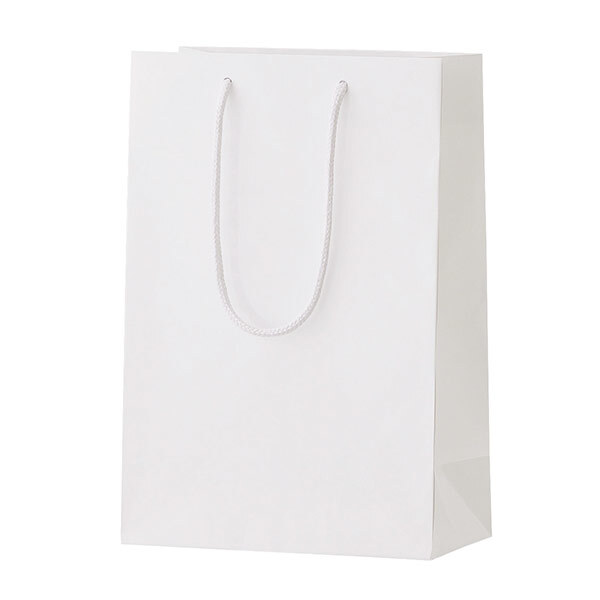 シャイニーバッグ（S）