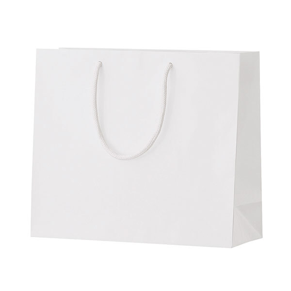 シャイニーバッグ（M-W）