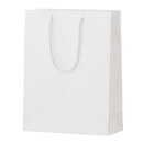 シャイニーバッグ（M）