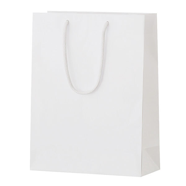 シャイニーバッグ（M）