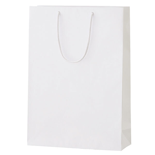 シャイニーバッグ（L）