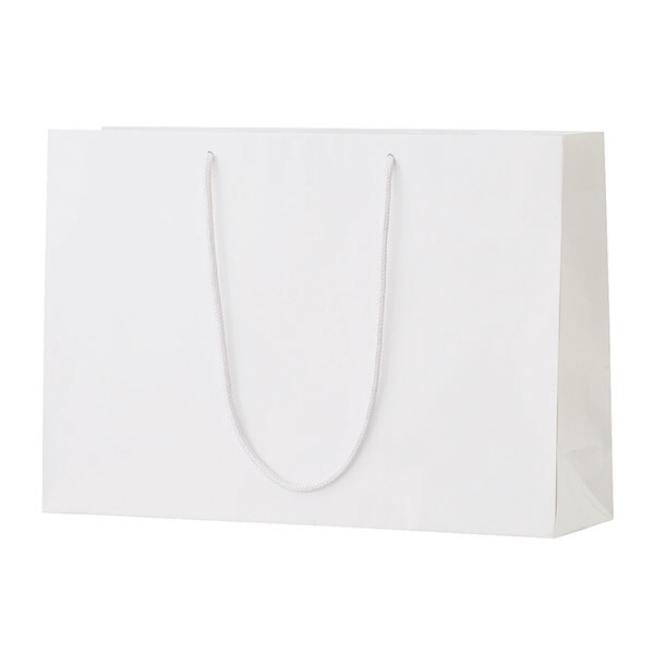 シャイニーバッグ（L-W）