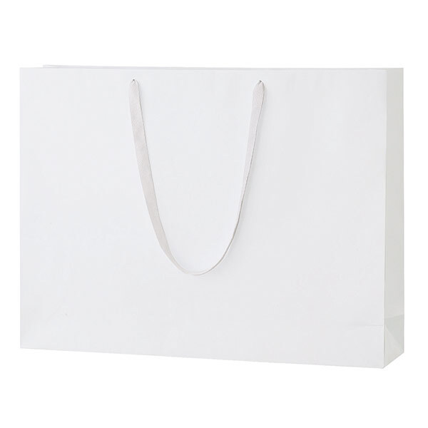 シャイニーバッグ（LL-W）